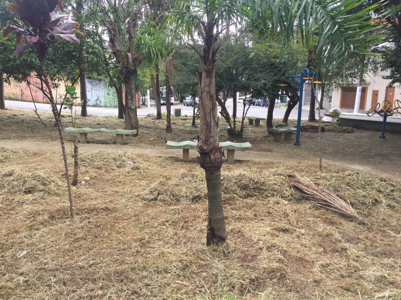 Praça Campo Azul já limpa e com a grama cortada amontoada para ser recolhida. Bancos de cimento estão distribuídos à beira do passeio. Algumas árvores ainda crescem no meio da praça. outras, na calçada e nos fundos, já são grandes. Num canto da direita há dois brinquedos de playground, em azul e amarelo. 